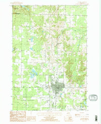 preview thumbnail of historical topo map of Gaylord, MI in 1986