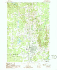 preview thumbnail of historical topo map of Gaylord, MI in 1986