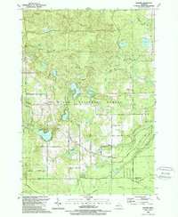 preview thumbnail of historical topo map of Alcona County, MI in 1989