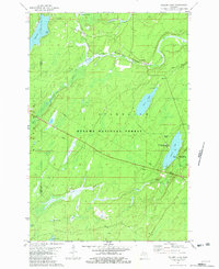Download a high-resolution, GPS-compatible USGS topo map for Golden Lake, MI (1982 edition)