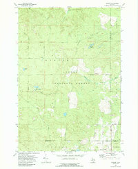 Download a high-resolution, GPS-compatible USGS topo map for Goodar, MI (1989 edition)
