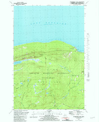 preview thumbnail of historical topo map of Ontonagon County, MI in 1981