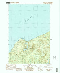 preview thumbnail of historical topo map of Alger County, MI in 1983