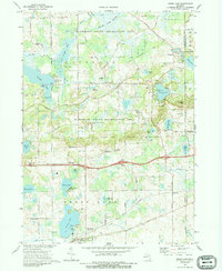 Download a high-resolution, GPS-compatible USGS topo map for Grass Lake, MI (1989 edition)