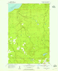 Download a high-resolution, GPS-compatible USGS topo map for Graveraet River, MI (1955 edition)