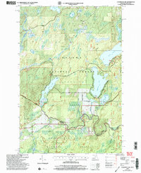 Download a high-resolution, GPS-compatible USGS topo map for Hagerman Lake, MI (2004 edition)