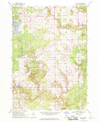 Download a high-resolution, GPS-compatible USGS topo map for Hale SE, MI (1971 edition)