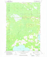 Download a high-resolution, GPS-compatible USGS topo map for Hardwood Island, MI (1975 edition)