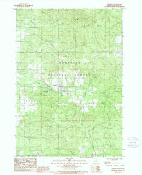 Download a high-resolution, GPS-compatible USGS topo map for Harrietta, MI (1988 edition)