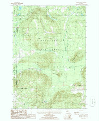 Download a high-resolution, GPS-compatible USGS topo map for Hetherton, MI (1986 edition)