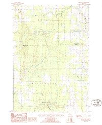 Download a high-resolution, GPS-compatible USGS topo map for Hillman NE, MI (1986 edition)