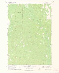 Download a high-resolution, GPS-compatible USGS topo map for Hubbard Lake SW, MI (1975 edition)