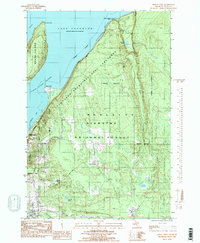 Download a high-resolution, GPS-compatible USGS topo map for Indian Town, MI (1985 edition)