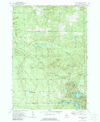 Download a high-resolution, GPS-compatible USGS topo map for Island Lake, MI (1989 edition)