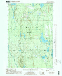Download a high-resolution, GPS-compatible USGS topo map for Lake Stella, MI (1985 edition)