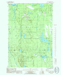 Download a high-resolution, GPS-compatible USGS topo map for Lake Stella, MI (1985 edition)