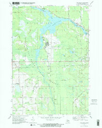 Download a high-resolution, GPS-compatible USGS topo map for Lake Winyah, MI (1974 edition)