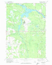 Download a high-resolution, GPS-compatible USGS topo map for Lake Winyah, MI (1974 edition)