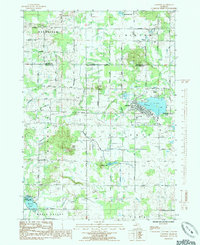 Download a high-resolution, GPS-compatible USGS topo map for Lakeview, MI (1985 edition)