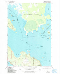 Download a high-resolution, GPS-compatible USGS topo map for Lime%20Island, MI (1994 edition)