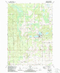 Download a high-resolution, GPS-compatible USGS topo map for Lincoln, MI (1989 edition)