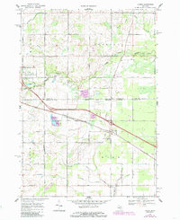 Download a high-resolution, GPS-compatible USGS topo map for Loomis, MI (1985 edition)