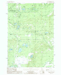 preview thumbnail of historical topo map of Newaygo County, MI in 1987