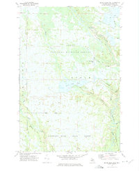 Download a high-resolution, GPS-compatible USGS topo map for Marsh Creek Pool, MI (1975 edition)