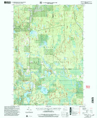 Download a high-resolution, GPS-compatible USGS topo map for Marten Lake, MI (2004 edition)