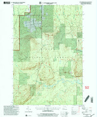 Download a high-resolution, GPS-compatible USGS topo map for Matchwood, MI (2004 edition)