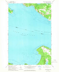 Download a high-resolution, GPS-compatible USGS topo map for McGulpin Point, MI (1966 edition)