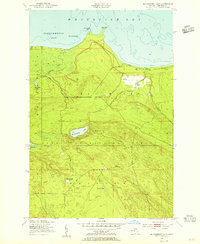 Download a high-resolution, GPS-compatible USGS topo map for McNearney Lake, MI (1955 edition)