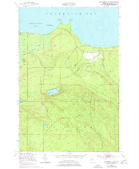 Download a high-resolution, GPS-compatible USGS topo map for McNearney Lake, MI (1977 edition)