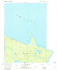 Download a high-resolution, GPS-compatible USGS topo map for McRae Bay, MI (1982 edition)
