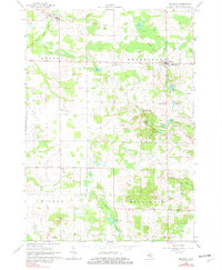 Download a high-resolution, GPS-compatible USGS topo map for Mecosta, MI (1982 edition)
