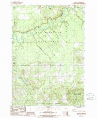 preview thumbnail of historical topo map of Wexford County, MI in 1987