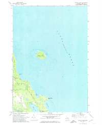 Download a high-resolution, GPS-compatible USGS topo map for Middle Island, MI (1974 edition)