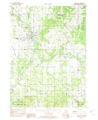 Download a high-resolution, GPS-compatible USGS topo map for Middleville, MI (1982 edition)