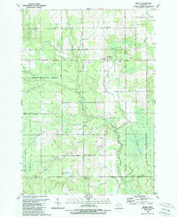 preview thumbnail of historical topo map of Alcona County, MI in 1989