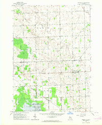 Download a high-resolution, GPS-compatible USGS topo map for Minden City, MI (1964 edition)