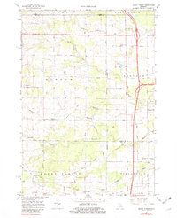 Download a high-resolution, GPS-compatible USGS topo map for Mount Forest, MI (1982 edition)