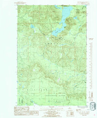 Download a high-resolution, GPS-compatible USGS topo map for Mountain Lake, MI (1985 edition)