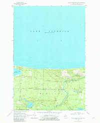 Download a high-resolution, GPS-compatible USGS topo map for Muskallonge Lake East, MI (1982 edition)