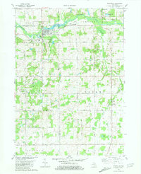 Download a high-resolution, GPS-compatible USGS topo map for Nashville, MI (1981 edition)