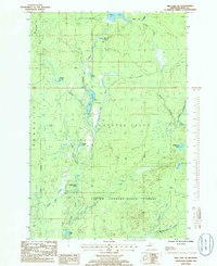 Download a high-resolution, GPS-compatible USGS topo map for Ned Lake SE, MI (1986 edition)