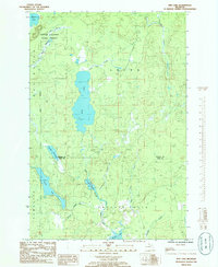 Download a high-resolution, GPS-compatible USGS topo map for Ned Lake, MI (1986 edition)