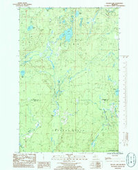 Download a high-resolution, GPS-compatible USGS topo map for Nelson Lake, MI (1986 edition)