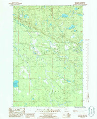 Download a high-resolution, GPS-compatible USGS topo map for Nestoria, MI (1986 edition)