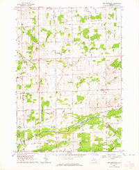 Download a high-resolution, GPS-compatible USGS topo map for New Greenleaf, MI (1964 edition)