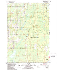 Download a high-resolution, GPS-compatible USGS topo map for North Lake, MI (1989 edition)